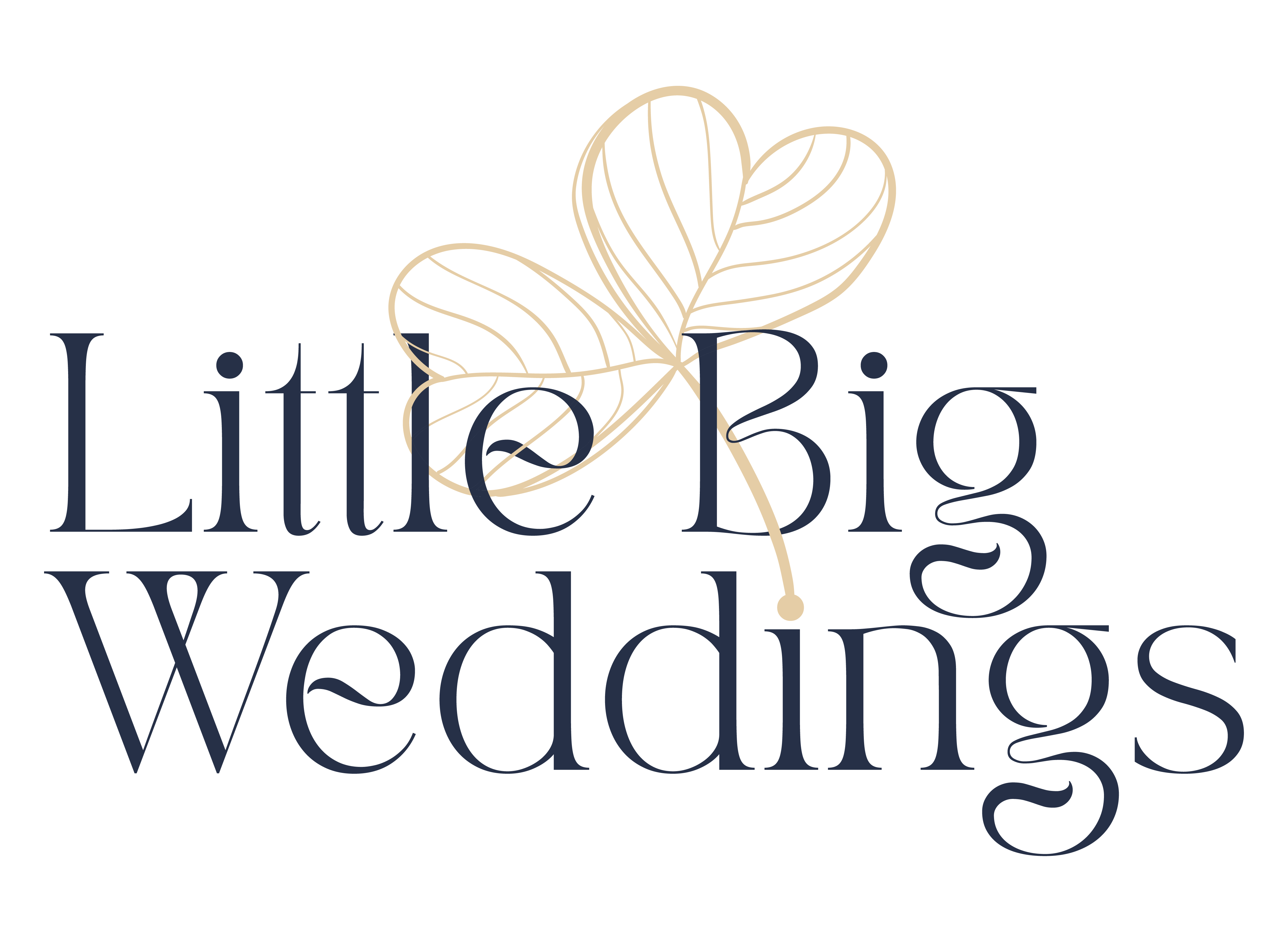 Little Big Studios / Little Big Weddings logo
