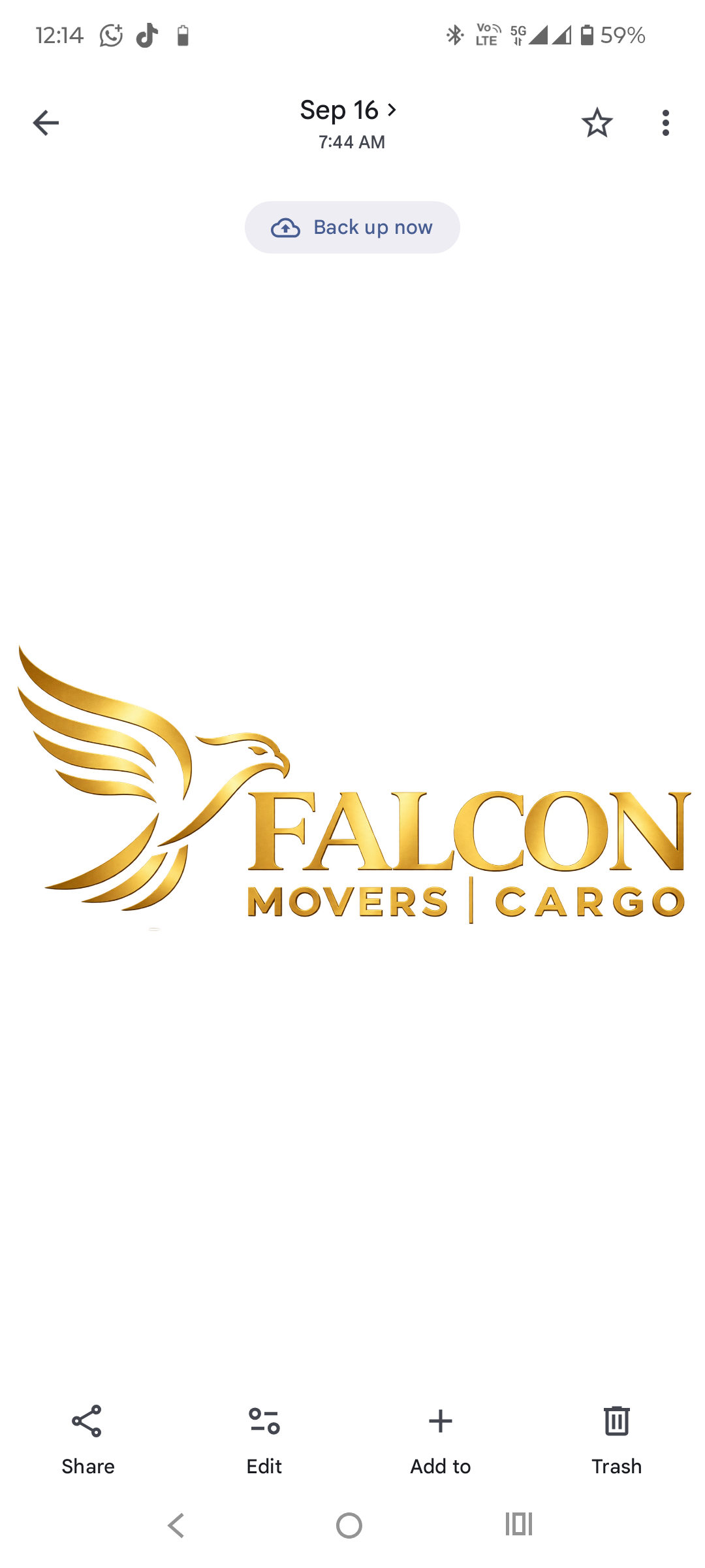 Falcon Movers Cargo logo