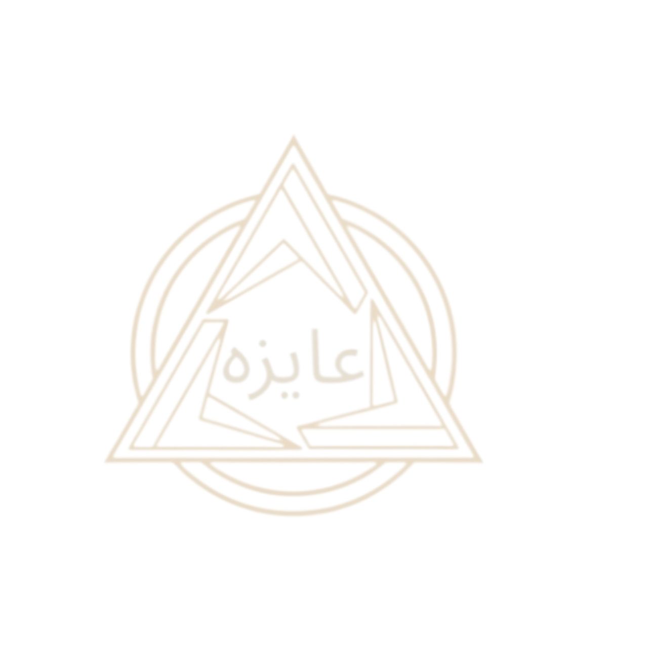 Aizaa Management logo